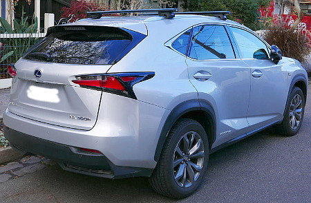 NX_300h